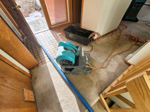 Best Emergency water damage restoration  in Island Park, NY