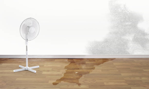 Best Water damage restoration process  in Island Park, NY