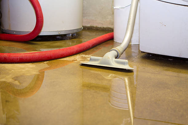 Best Water damage restoration services  in Island Park, NY