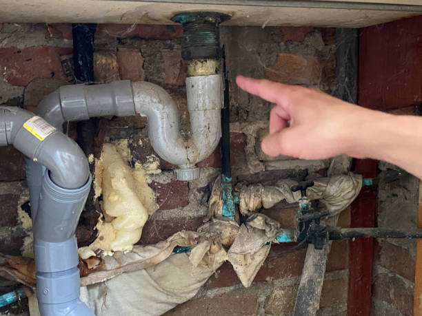 Best Flood restoration services  in Island Park, NY