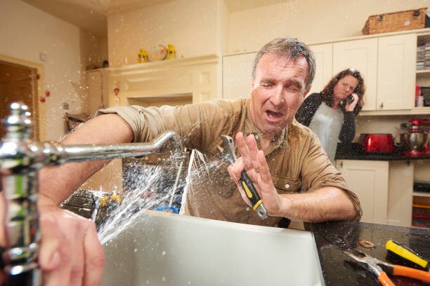 Best Water damage cleanup near me  in Island Park, NY